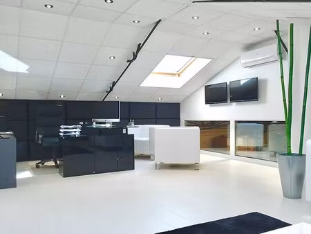 location local professionnel 981m² veigne 37250