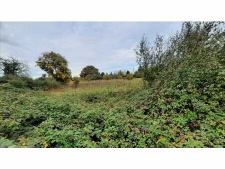 vente terrain 2177 m² luçay-le-mâle (36360)