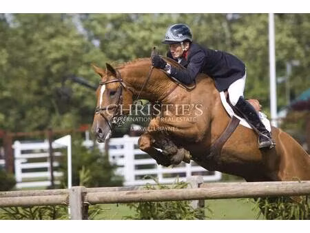 magnifique château avec installations équestres de très haut niveau