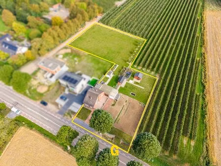 maison à vendre à hasseltsesteenweg 545 berg (rbu77020)