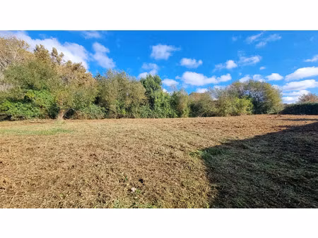 vente terrain 1126 m² mézos (40170)