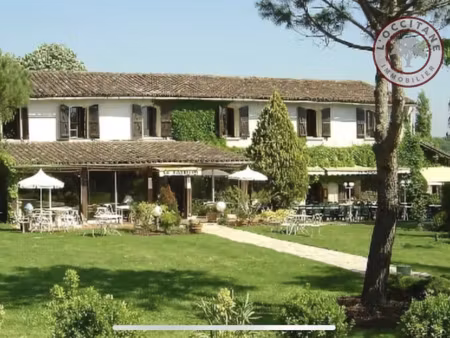 vente propriété 40 pièces 1373 m² à montaigut-sur-save (31530)  745 000 €