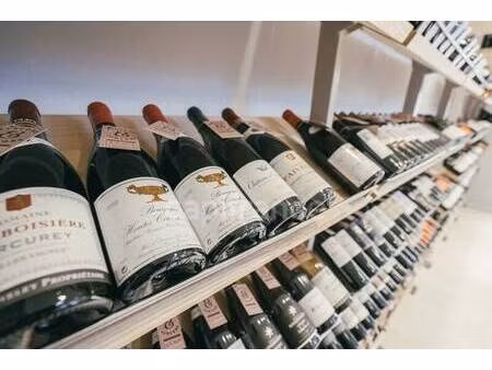 mollier sabet sébastien capifrance