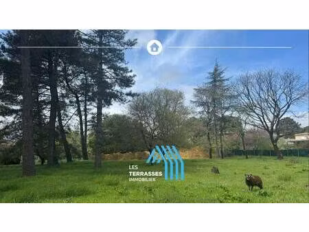 terrain à vendre