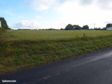 terrain 1000 m² taillette