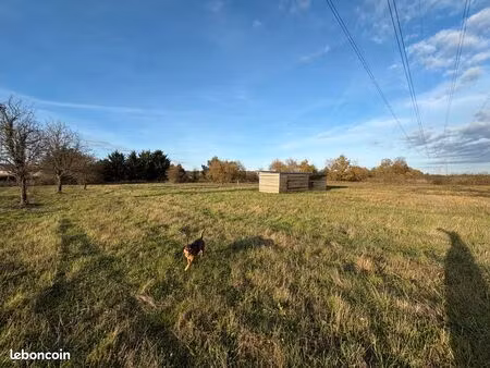 beau terrain pour pâturage ou loisir