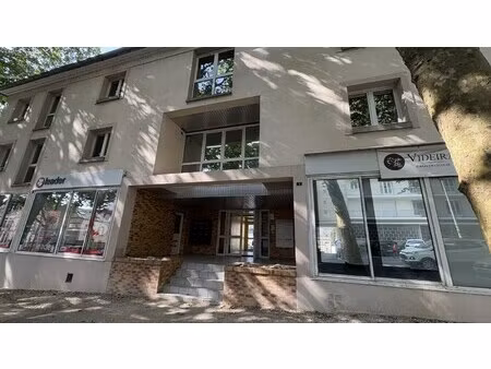 location local professionnel 235m² orleans 45000