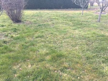 terrain constructible viabilisé à vendre