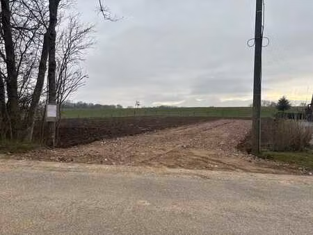 magnifique terrain plat à vendre à hodeige (remicourt)
