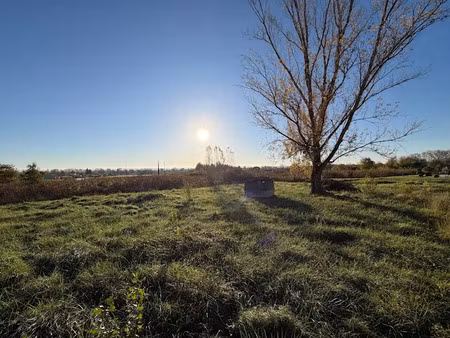 vente terrain 600 m² à rabastens (81800)  60 000 €