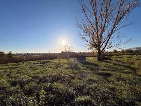 vente terrain 600 m² à rabastens (81800)  60 000 €