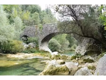 terrain non constructible - foret / chasse- secteur pont de mons / siagne (zone n)