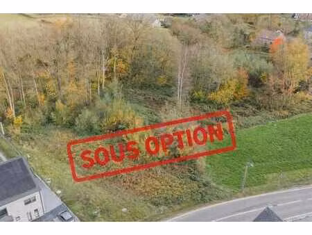 magnifique terrain en zone à bâtir