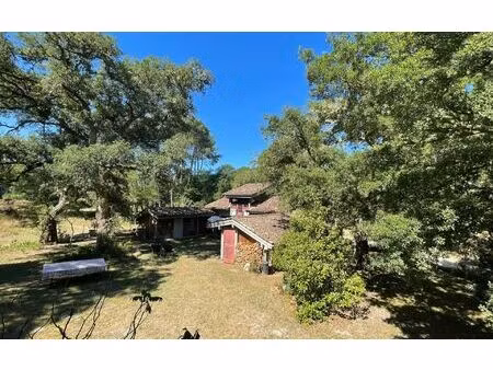 maison mézos m² t-6 à vendre  500 000 €