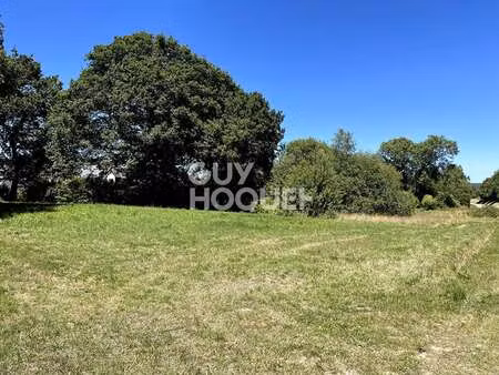 vente terrain à elven (56250) : à vendre / 342m² elven