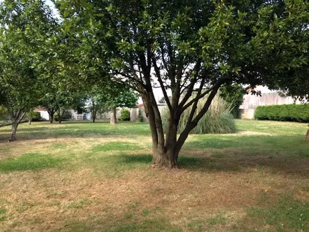 vente terrain 350 m² à cavignac (33620)  43 000 €