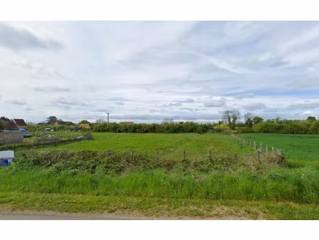 vente terrain 1715 m² à chemilly-sur-yonne (89250)  40 150 €