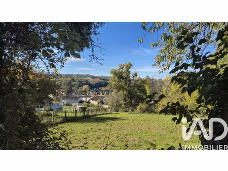 vente terrain 6000 m² saint-léonard-de-noblat (87400)