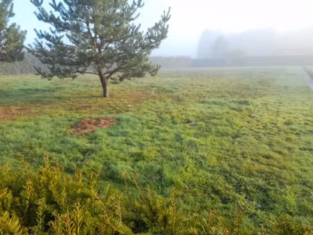 vente terrain 1700 m² à couzeix (87270)  77 000 €