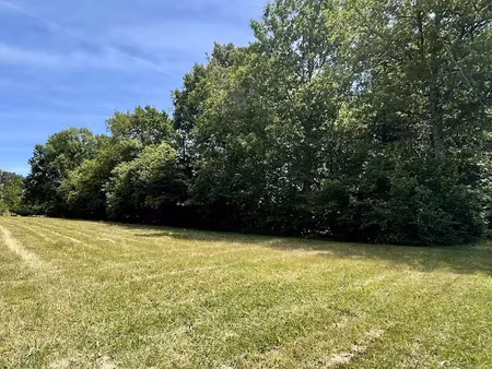 vente terrain à sainte-marie-de-chignac (24330)  45 000 €