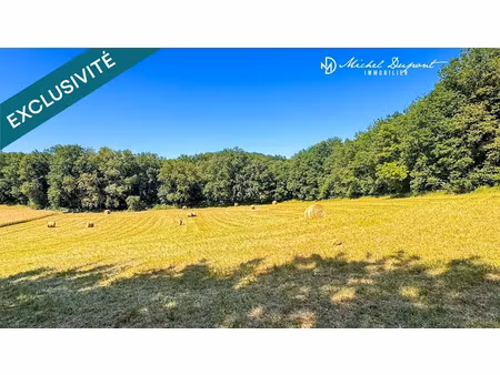 vente terrain 4986 m² à limeuil (24510)  60 000 €