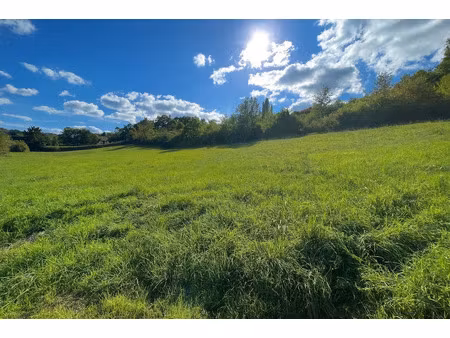 vente terrain 2573 m² à boulazac (24750)  48 000 €