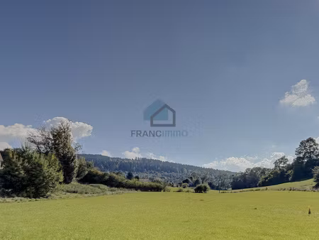 damprichard - terrain constructible