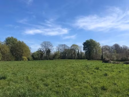 vente terrain 1500 m² à villemur-sur-tarn (31340)  89 500 €