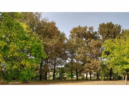 vente terrain 590 m² à montussan (33450)  104 000 €