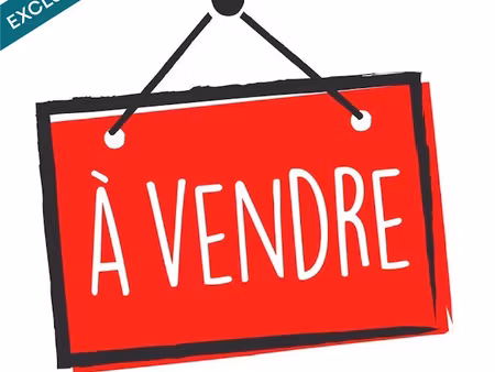 vente locaux professionnels 240 m² à le bernard (85560)  326 000 €