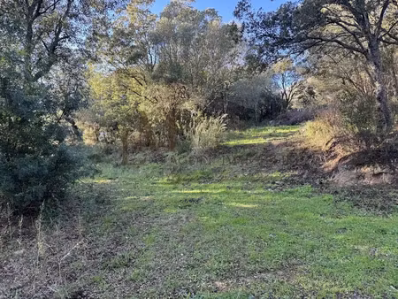 vente terrain à batir 674 m² à sotta (20146)  230 000 €