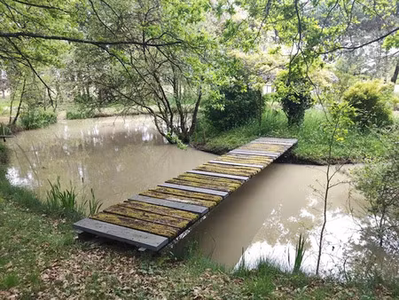 vente terrain 100000 m² à mignaloux-beauvoir (86550)  295 000 €