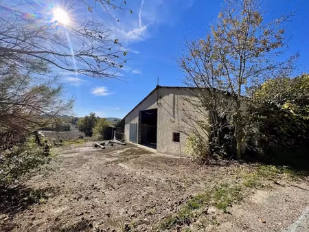 vente locaux professionnels 600 m² à fénols (81600)  110 000 €