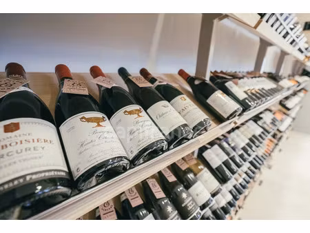 vente locaux professionnels 100 m² à la plagne (73210)  205 000 €