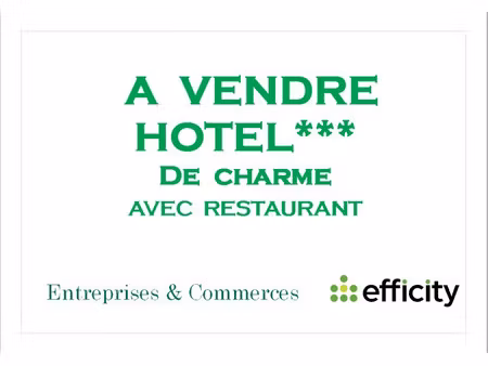 vente locaux professionnels 740 m² à les avenières (38630)  395 000 €