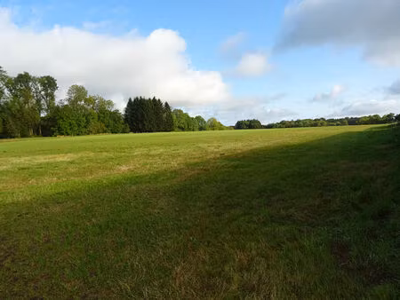 terrain constructible de 1000 m2 à taillette