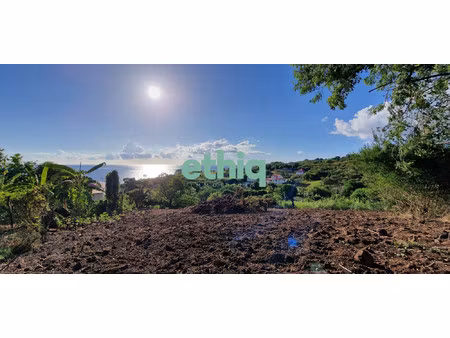 terrain à vendre vieux-habitants