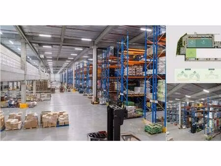 surface industrielle à louer à fleurus (vbd57369)