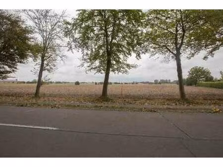 lot 1: terrains agricoles