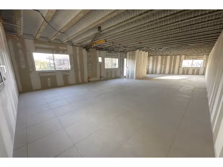 local professionnel 100m²- saint gély