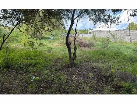 terrain anse-bertrand m² t- à vendre  89 500 €