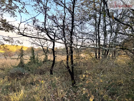 ensemble de terres boisées et agricoles