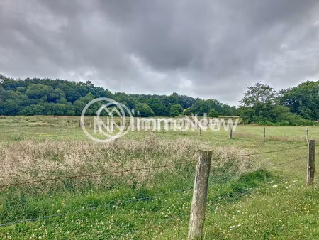 belle parcelle de terrain agricole d'une surface de 43720 m2