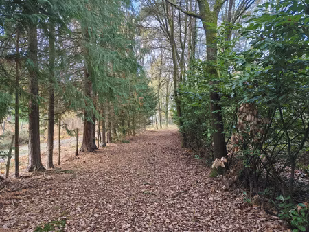 terrain de loisir en foret au pied du circuit des 24h