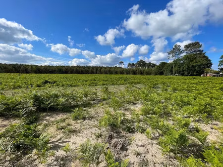 vente terrain 829 m² à lit-et-mixe (40170)  130 000 €