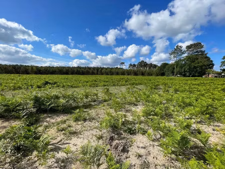 vente terrain 829 m² à lit-et-mixe (40170)  140 000 €