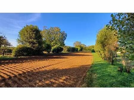 vente terrain à thiré (85210) : à vendre / thiré