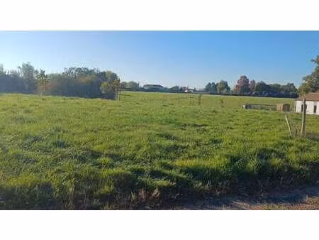 vente terrain à la réorthe (85210) : à vendre / la réorthe