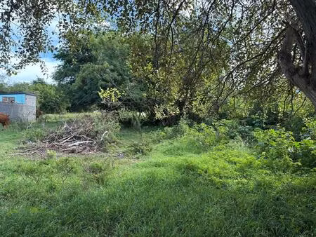 terrain constructible et viabilisé à vendre – anse-bertrand