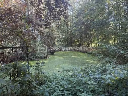 sandrine chretien bsk immobilier